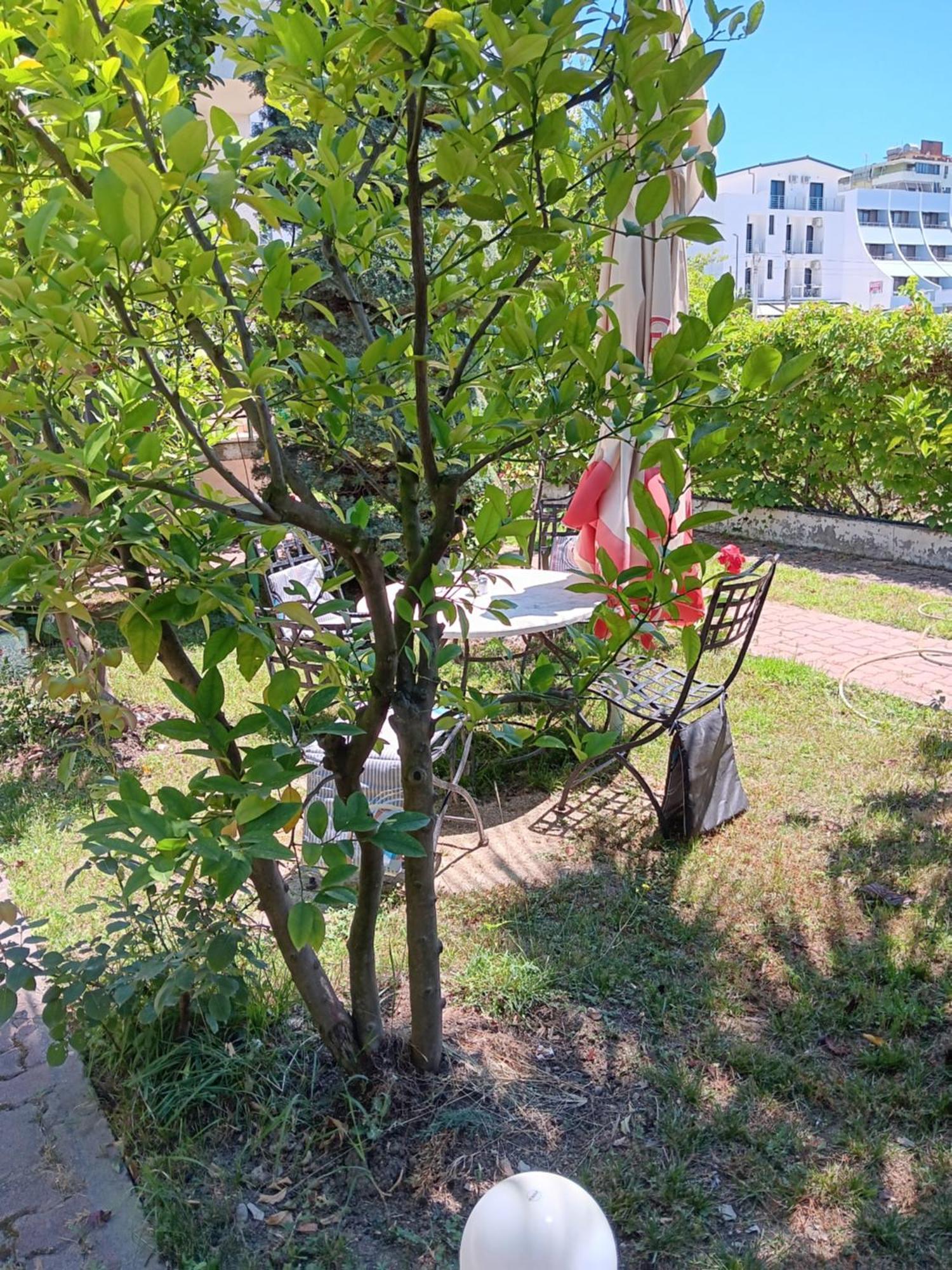 A-Vila 格勒姆 外观 照片