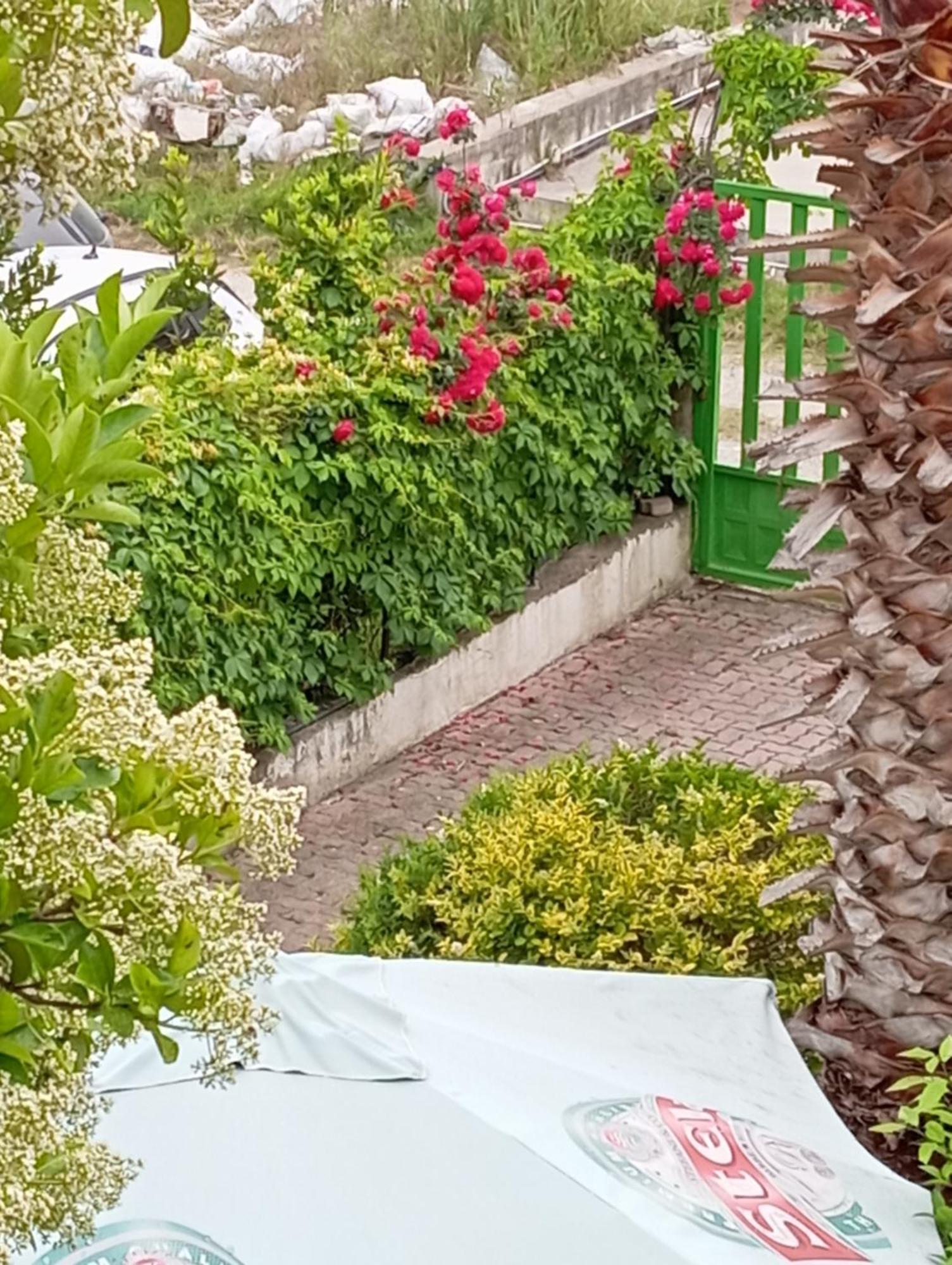 A-Vila 格勒姆 外观 照片