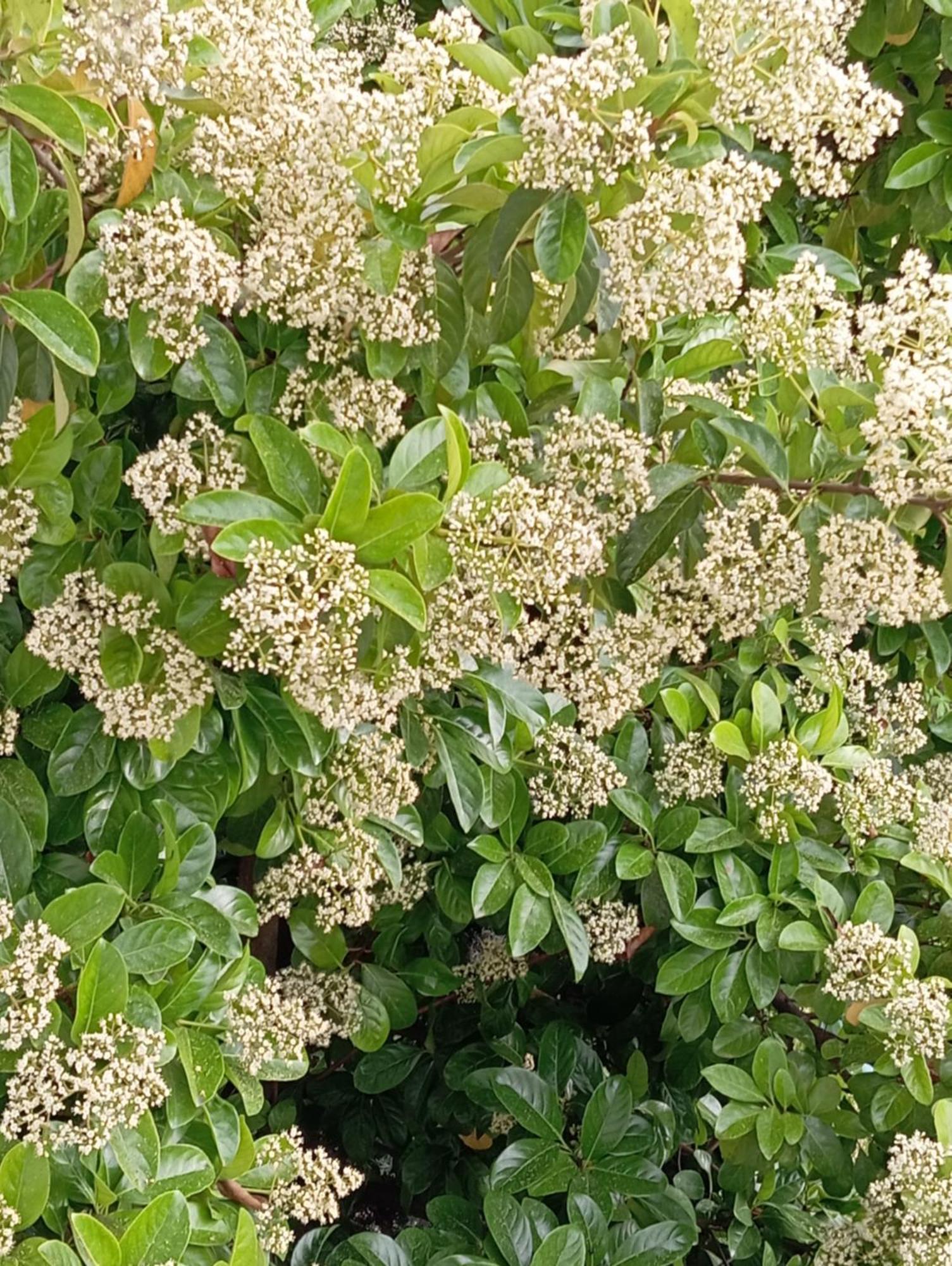 A-Vila 格勒姆 外观 照片