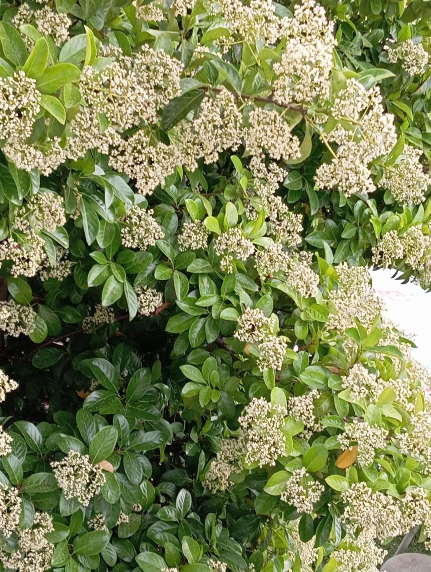 A-Vila 格勒姆 外观 照片